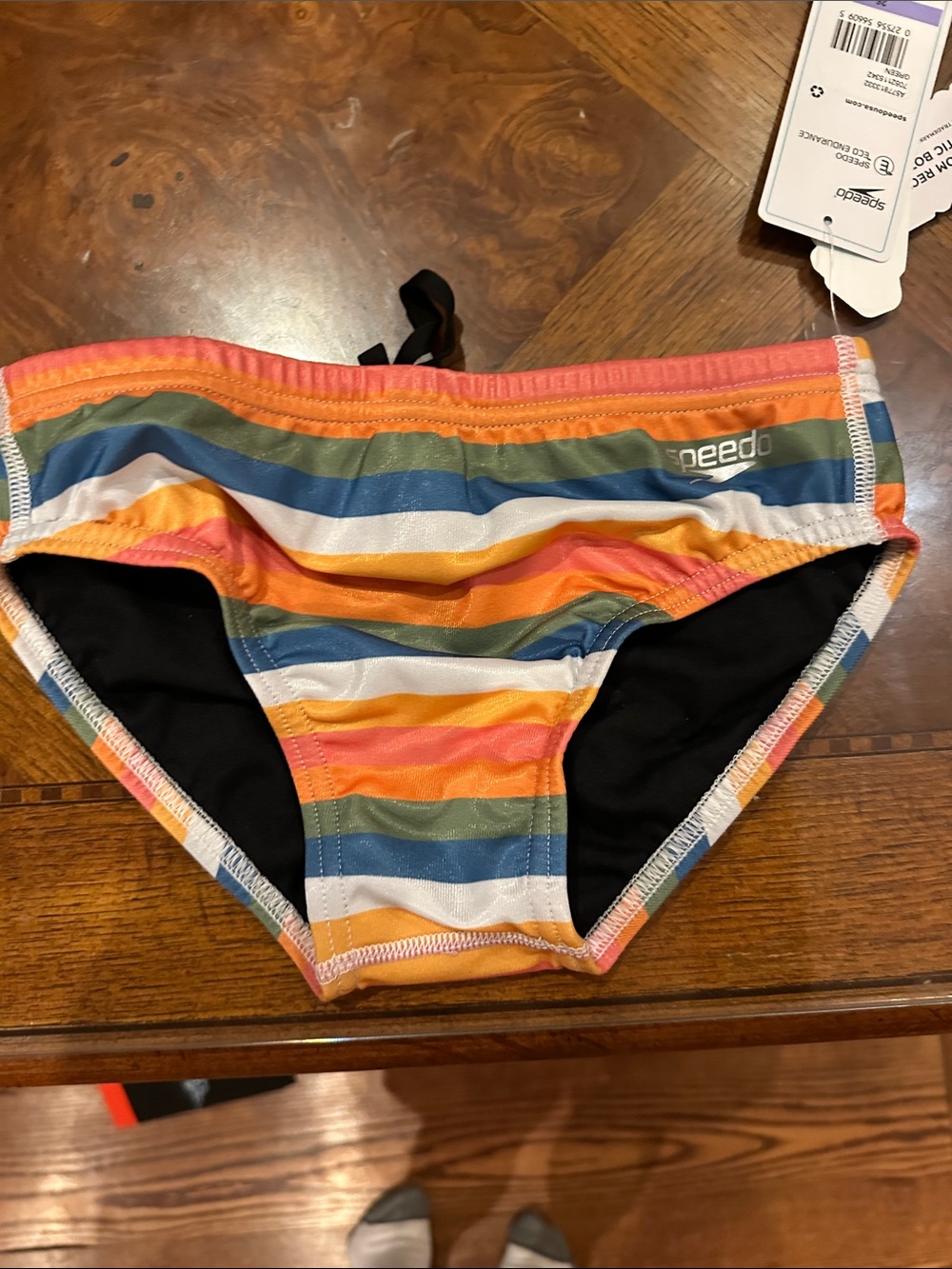 Speedo Rainbow Stripe Swim Briefs